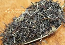 Zeige Details für Darjeeling FOP Oolong 2nd flush „Singbulli“ Bild von Darjeeling FOP Oolong 2nd flush „Singbulli“
