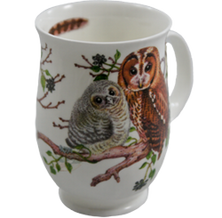Bild von Dunoon Suffolk Owls