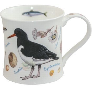 Bild von Dunoon Wessex Sea Life Oystercatcher