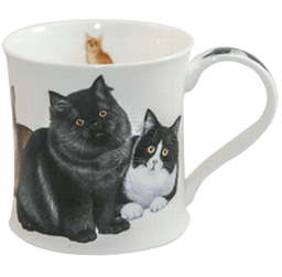 Bild von Dunoon Wessex Black Cats & Kittens