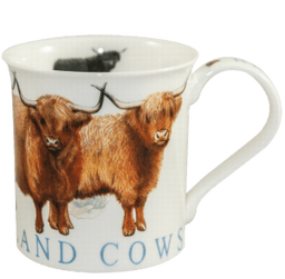 Bild von Dunoon Bute Highland Cows