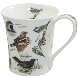 Zeige Details für Dunoon Jura Birdlife Bluetit Bild von Dunoon Jura Birdlife Bluetit