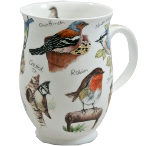 Bild von Dunoon Suffolk Birdlife Rotkehlchen