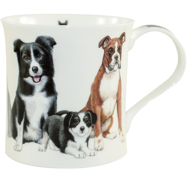 Bild von Dunoon Wessex Dogs & Puppies Collie