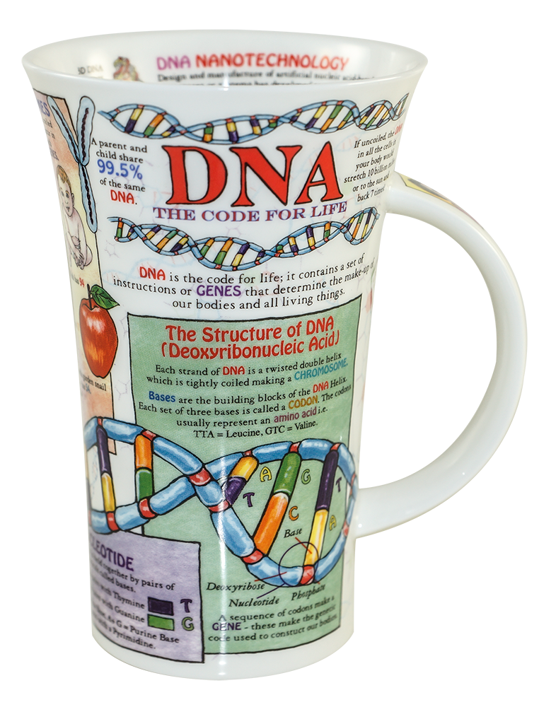 Bild von Dunoon Glencoe DNA