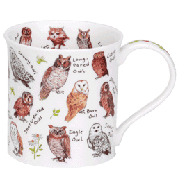 Bild von Dunoon Bute Birdlife Owls