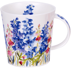 Zeige Details für Dunoon Cairngorm Champagne Delphinium Bild von Dunoon Cairngorm Champagne Delphinium