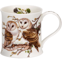 Bild von Dunoon Wessex Birdlife Collection Owl