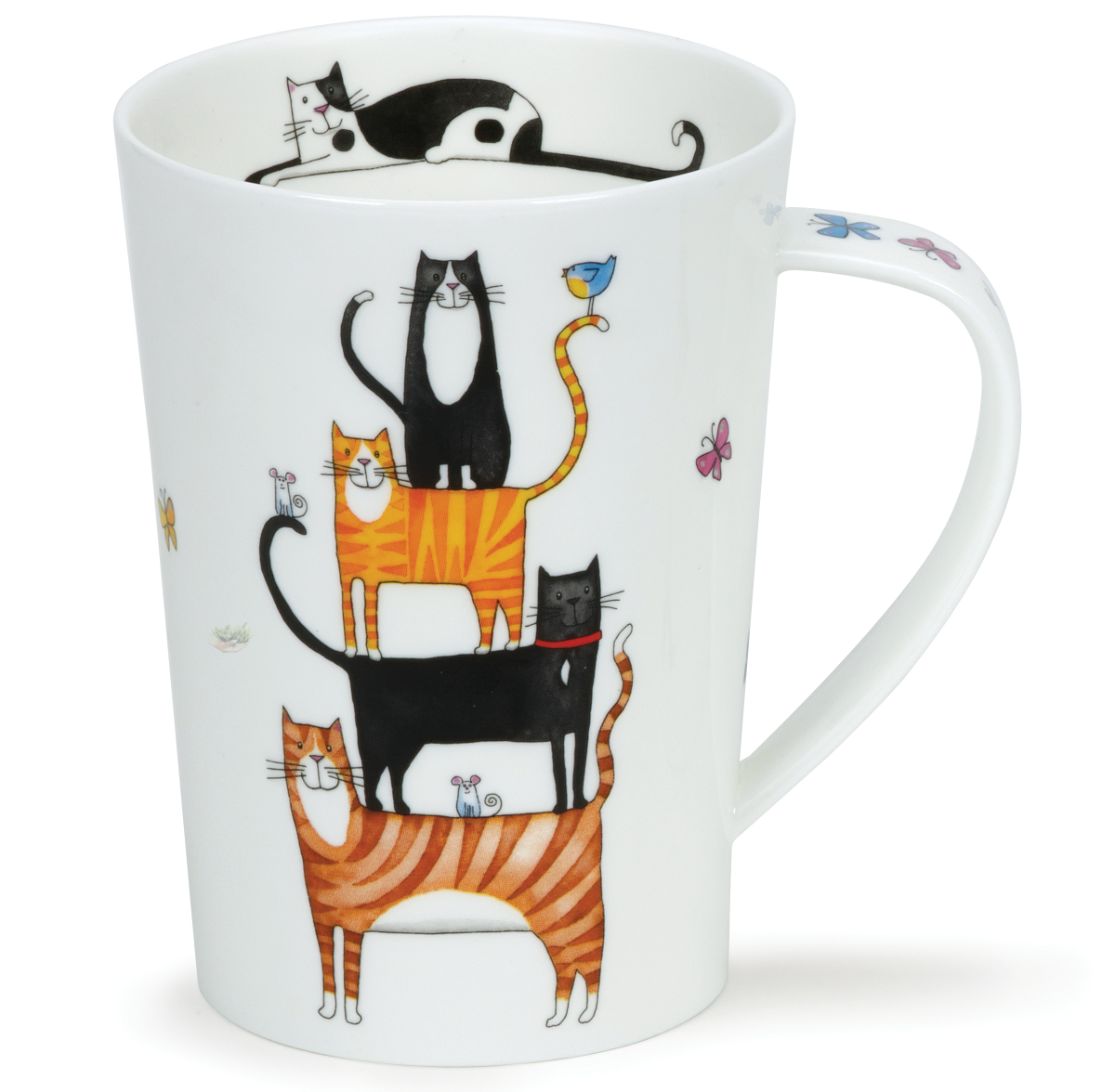 Bild von Dunoon Argyll High Rise Cats