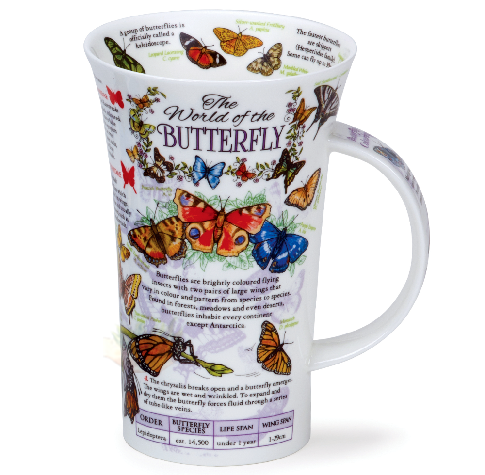 Bild von Dunoon Glencoe World of the Butterfly