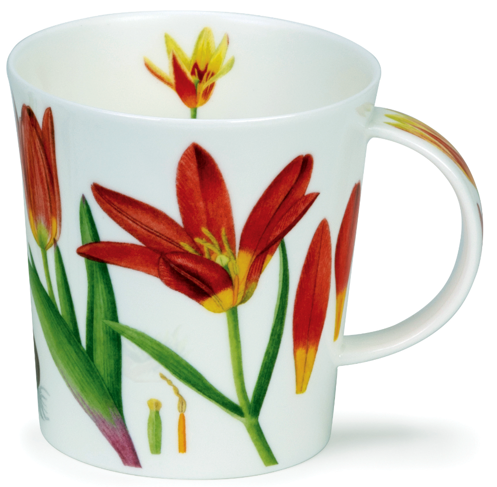 Bild von Dunoon Lomond Wild Tulips