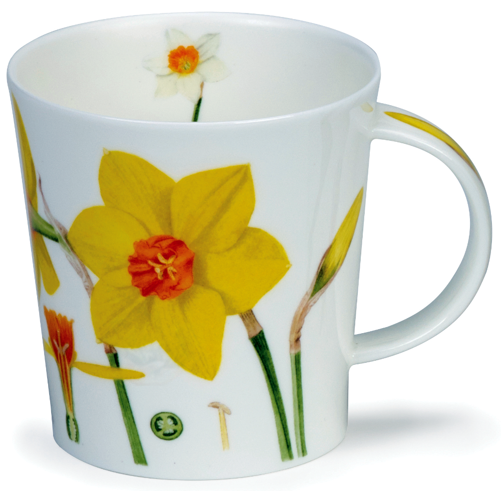 Bild von Dunoon Lomond Narcissi