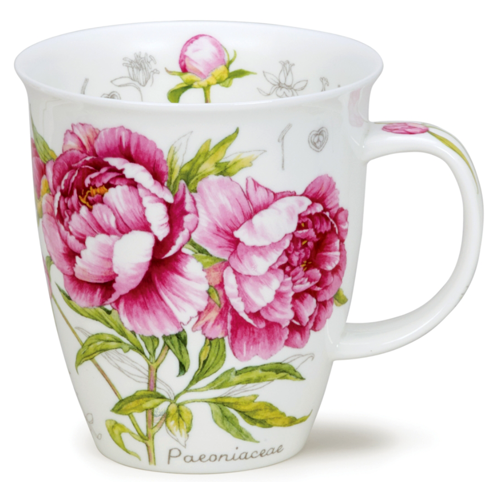 Bild von Dunoon Nevis Botanical Sketch Peony