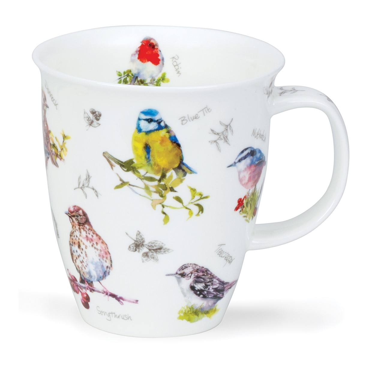 Bild von Dunoon Nevis Birdwatch Blue Tit
