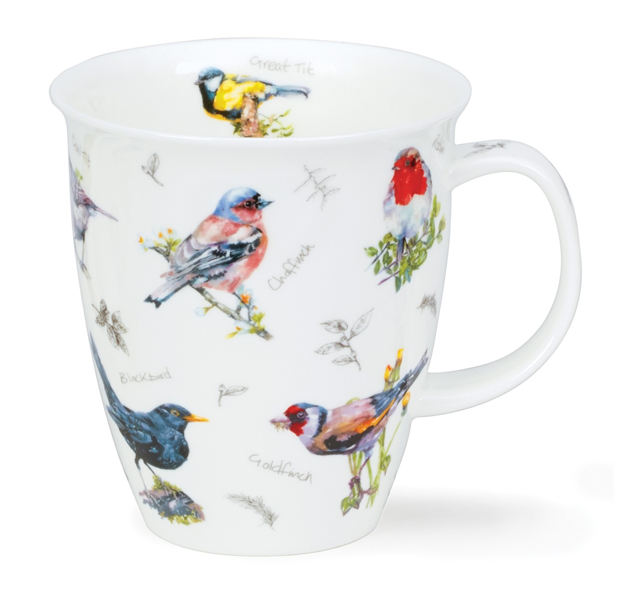 Bild von Dunoon Nevis Birdwatch Chaffinch
