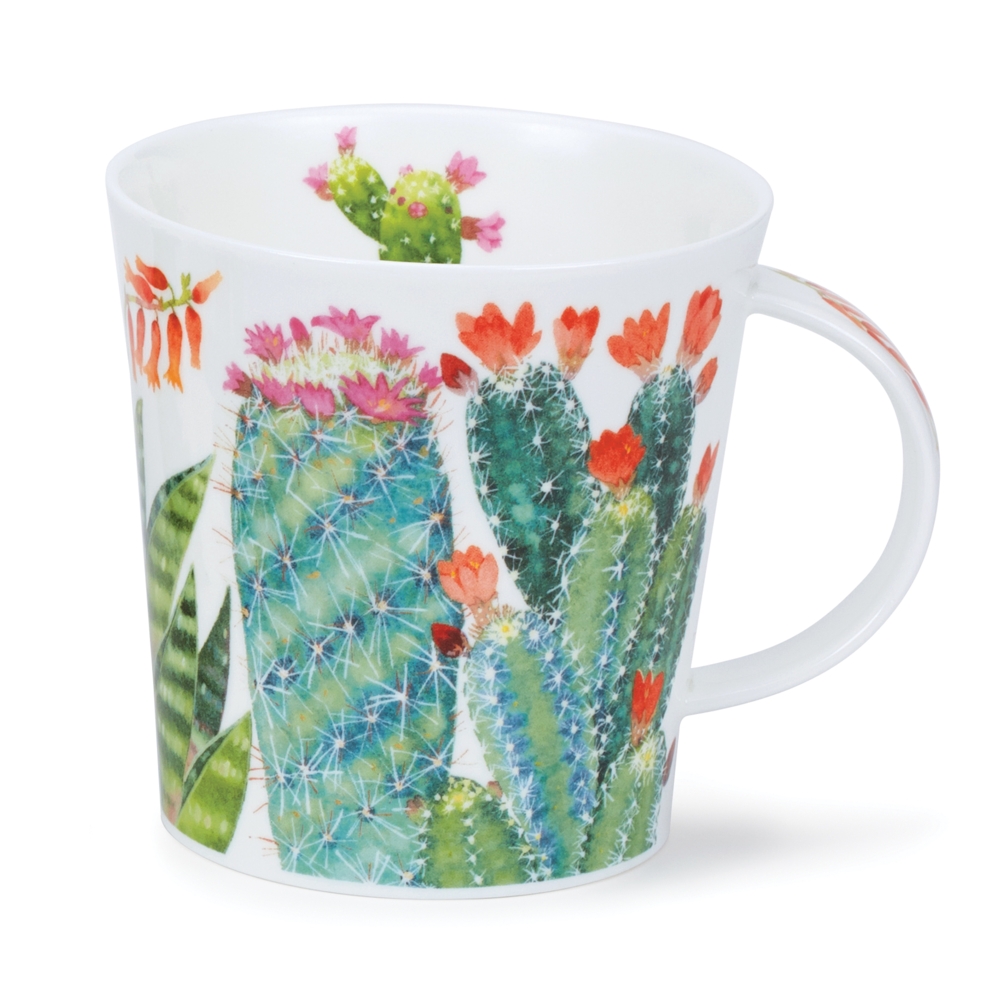 Bild von Dunoon Cairngorm Cacti Multi