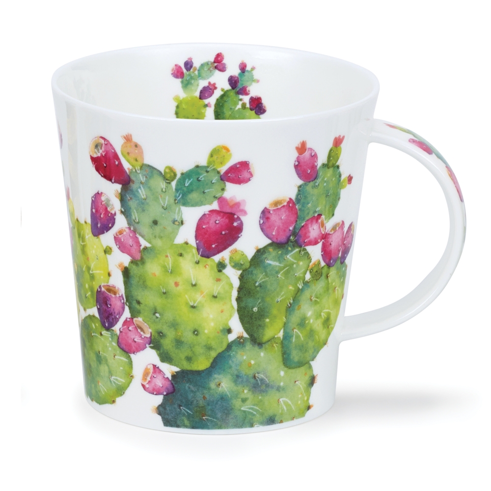 Bild von Dunoon Cairngorm Cacti Single