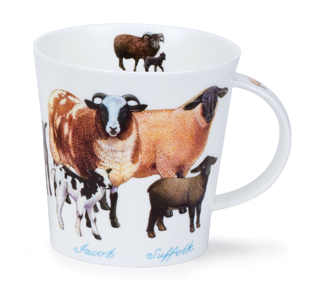 Bild von Dunoon Cairngorm Farmyard Sheep