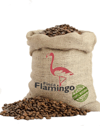 Zeige Details für Mexiko Finca Flamingo natürlich Bild von Mexiko Finca Flamingo natürlich