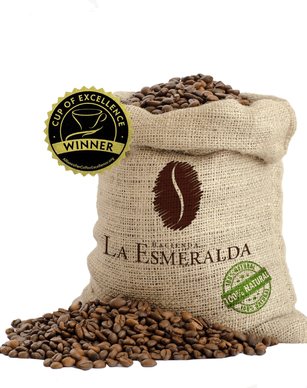 Bild von Panama Hacienda La Esmeralda Geisha