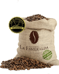 Zeige Details für Panama Hacienda La Esmeralda Geisha Bild von Panama Hacienda La Esmeralda Geisha