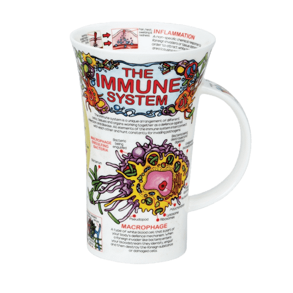 Bild von Dunoon Glencoe The Immune System
