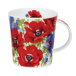 Zeige Details für Dunoon Lomond Flora Bonita Anemone Bild von Dunoon Lomond Flora Bonita Anemone