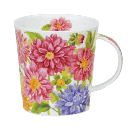 Zeige Details für Dunoon Lomond Flora Bonita Dahlia Bild von Dunoon Lomond Flora Bonita Dahlia