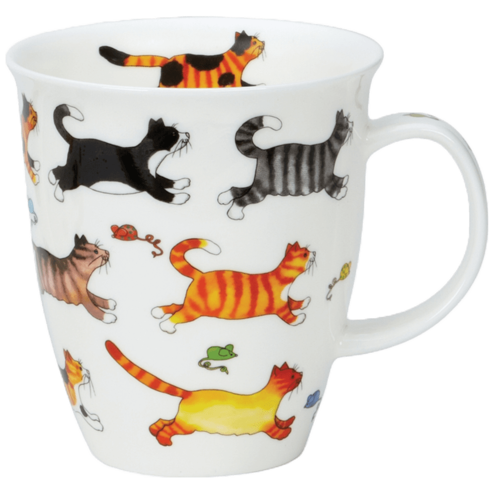 Bild von Dunoon Nevis On The Run Cat
