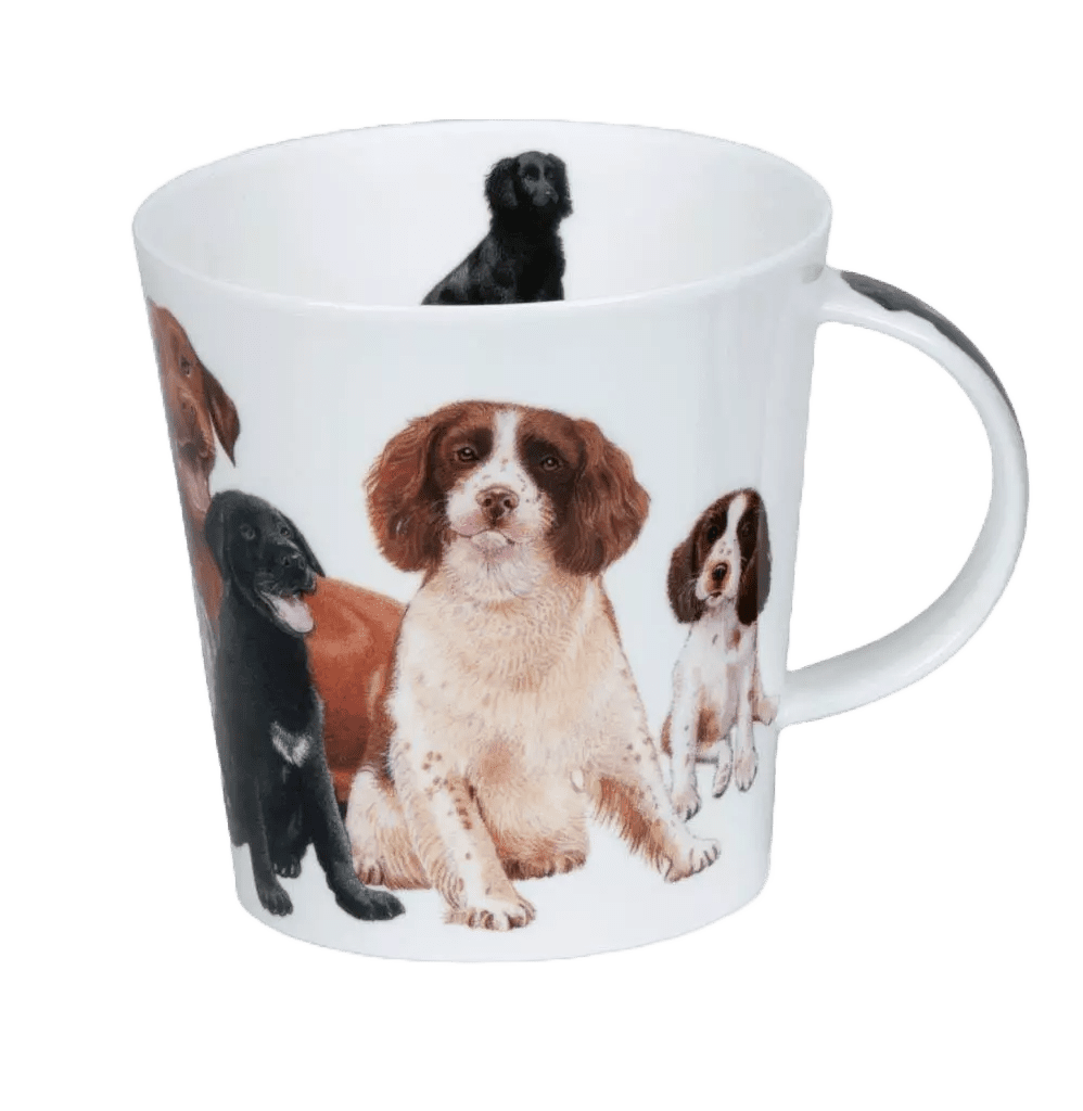 Bild von Dunoon Cairngorm Dogs & Puppies spaniel