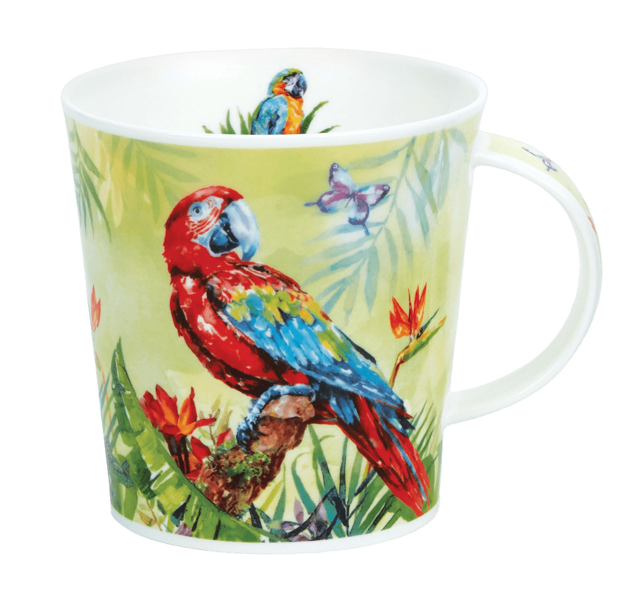 Bild von Dunoon Cairngorm Amazonia Macaw