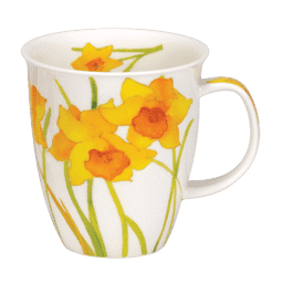 Bild von Dunoon Nevis Flora Daffodils