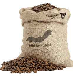 Bild von Costa Rica Wild Bat Geisha Kaffee