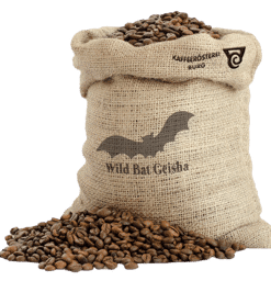 Zeige Details für Costa Rica Wild Bat Geisha Kaffee Bild von Costa Rica Wild Bat Geisha Kaffee