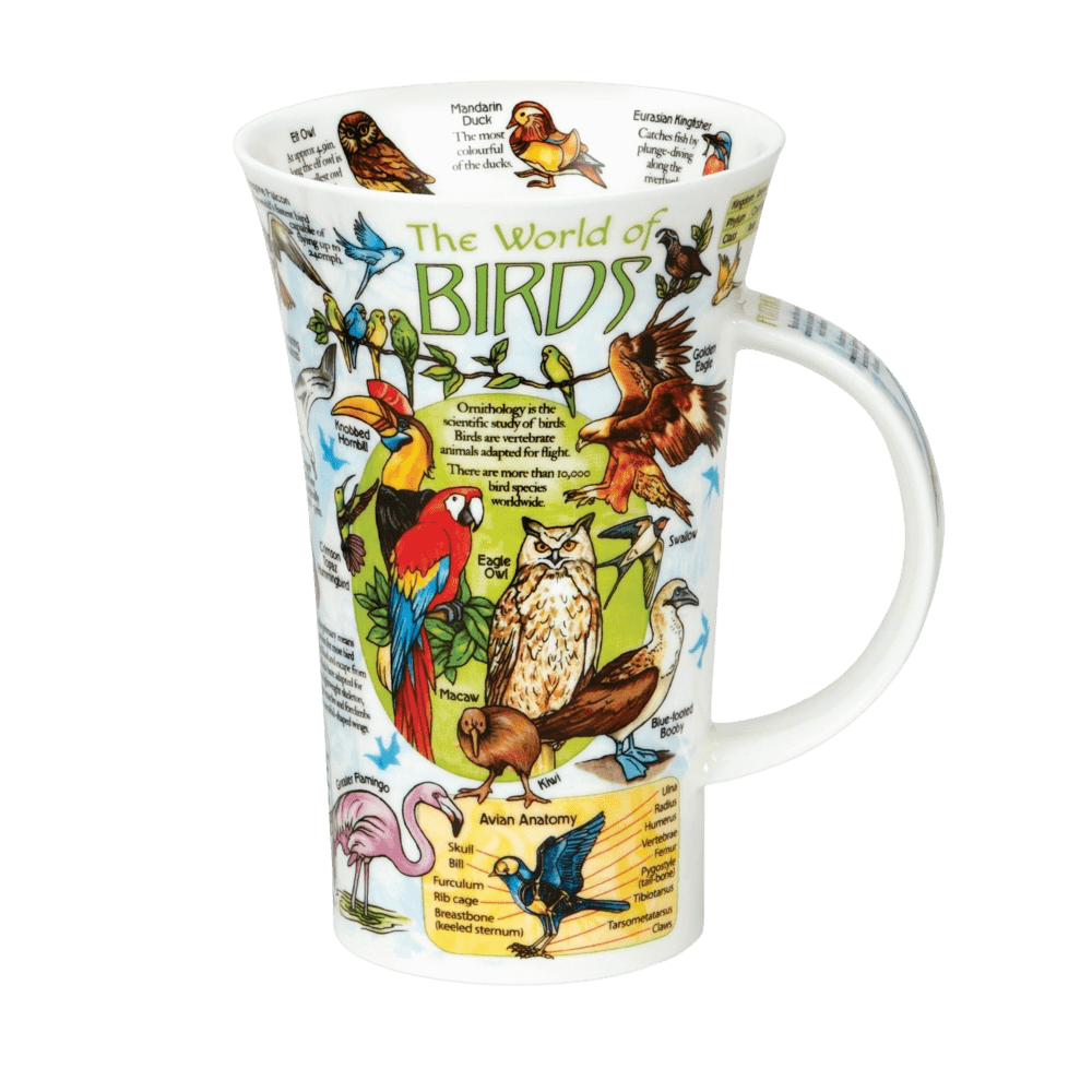 Bild von Dunoon Glencoe World Of Birds