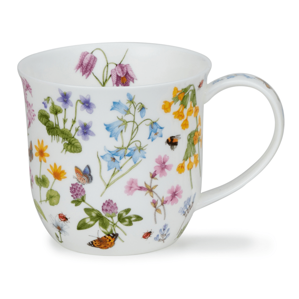 Bild von Dunoon Cumbrae Wild Flowers Harebell