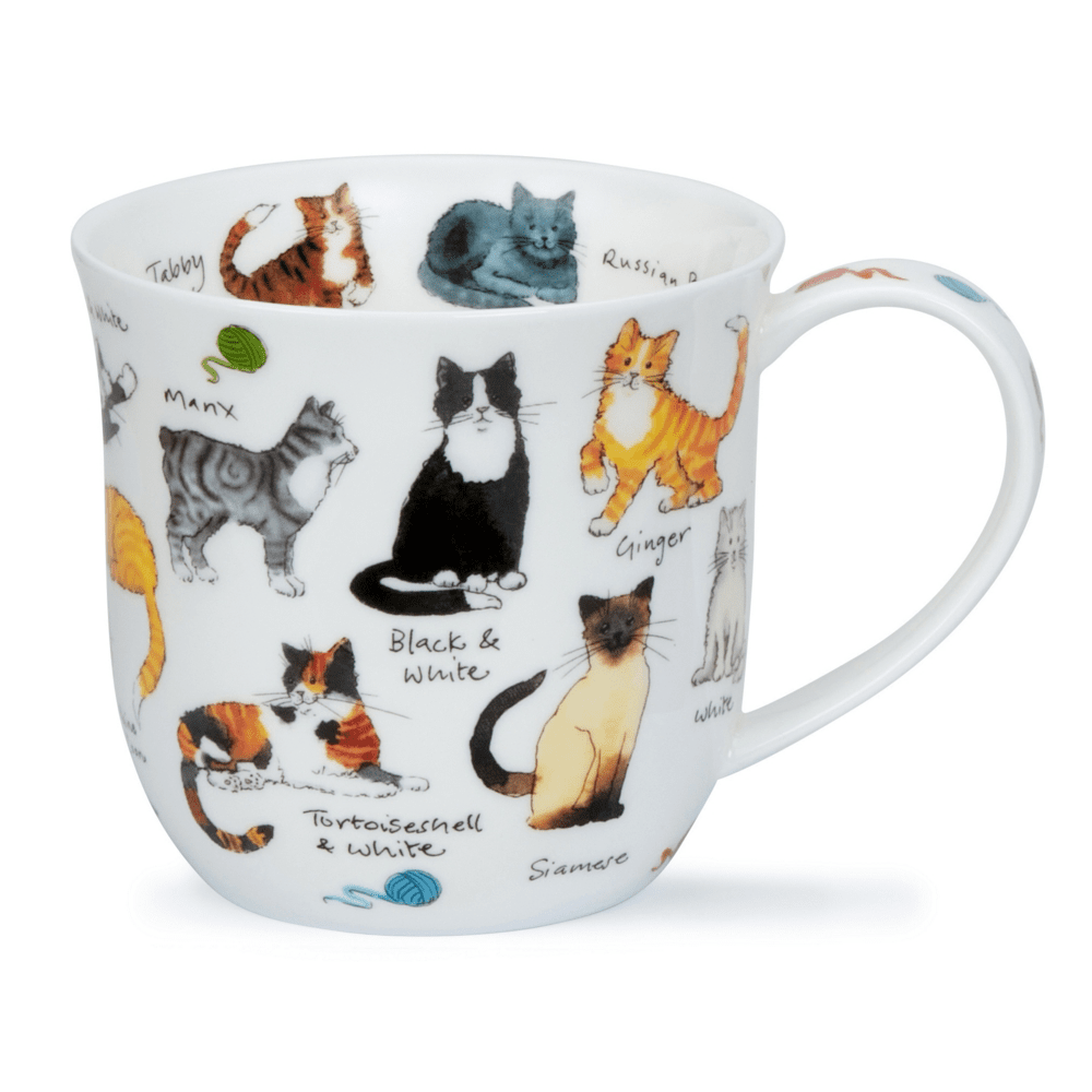 Bild von Dunoon Cumbrae Cat Breeds