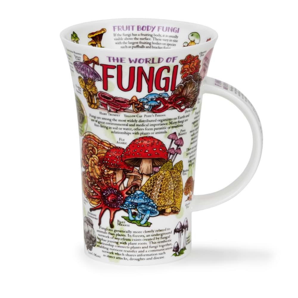 Bild von Dunoon Glencoe World Of Fungi